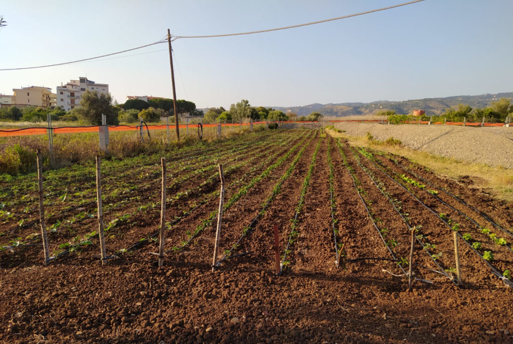 Giardino Gallina 3