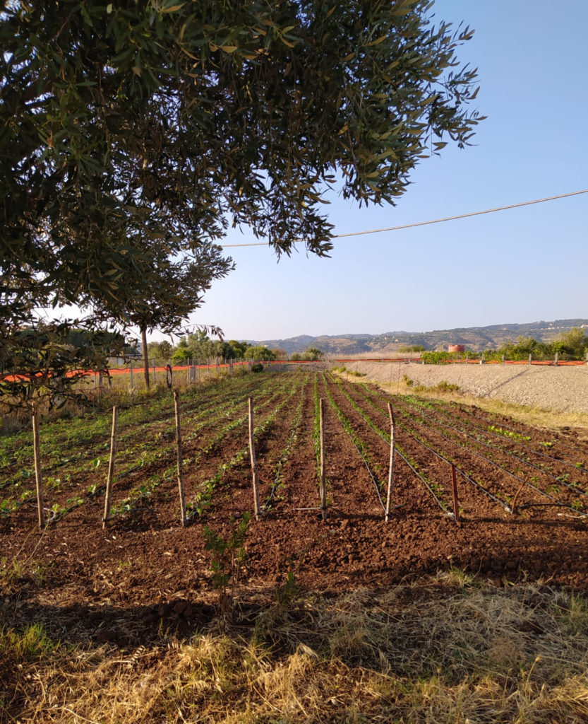 Giardino Gallina